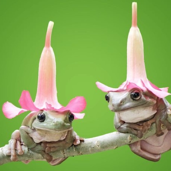 Meet your Posher, K - Picture 1 of 1